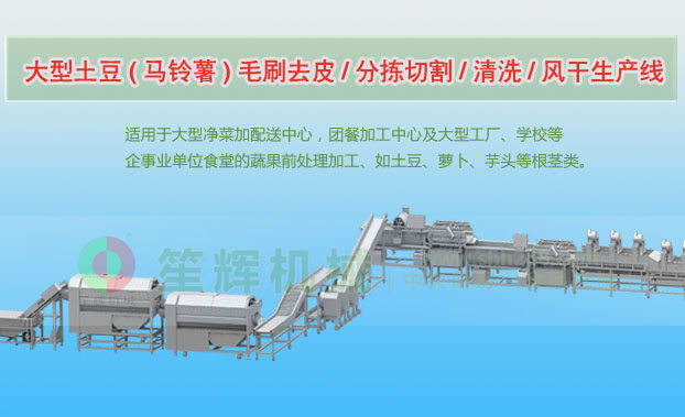 闻喜连续式土豆去皮清洗切割风干生产线